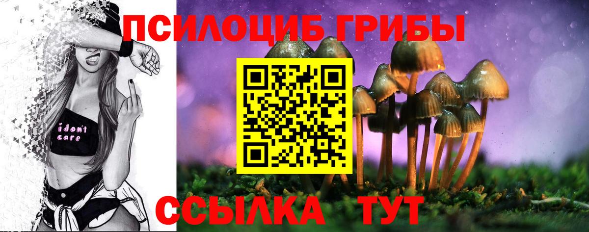 Галлюциногенные грибы прущие грибы Реутов